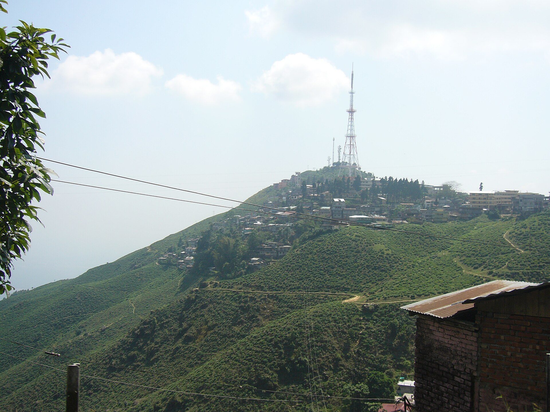 Steep tea-carpeted ridges and hill crest at Kurseong rising into soft Himalayan cloud