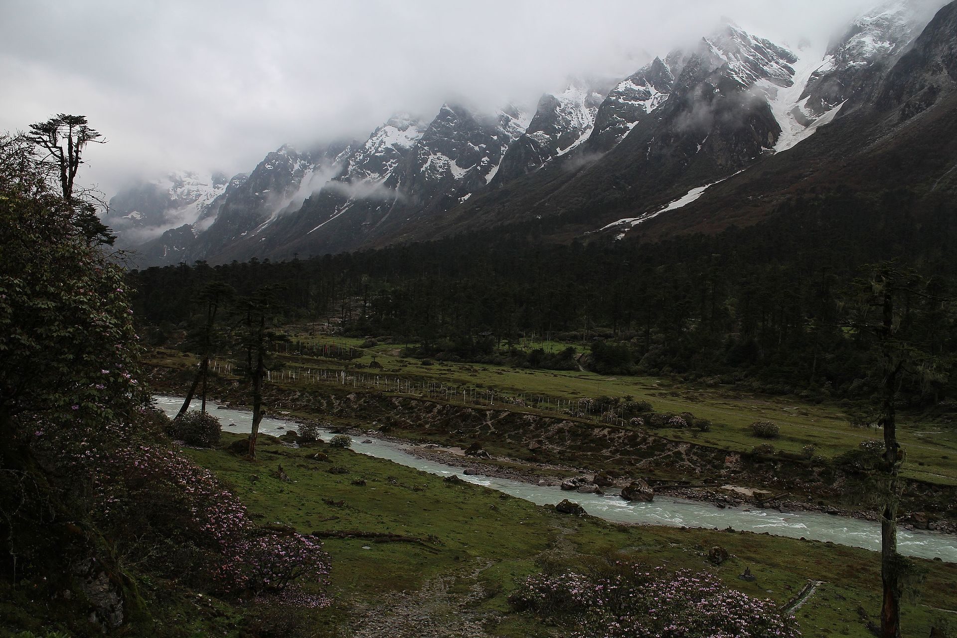 Glacial river winding through the misty alpine floor of Yumthang Valley near Lachung flanked by snow-dusted peaks