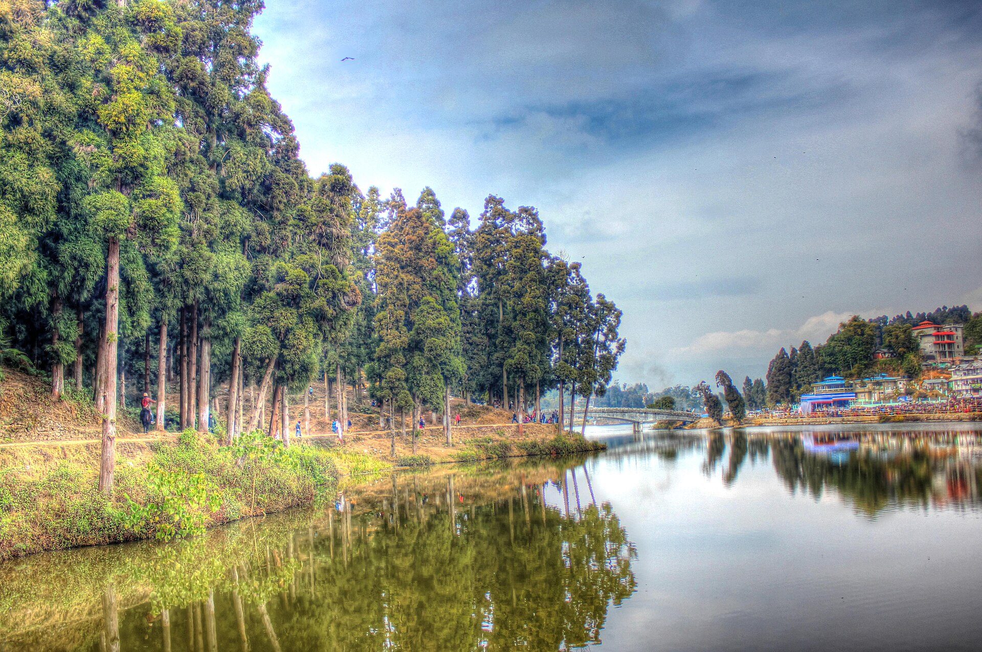 Pine-forested shore reflected in the calm waters of Sumendu Lake in Mirik, Darjeeling district