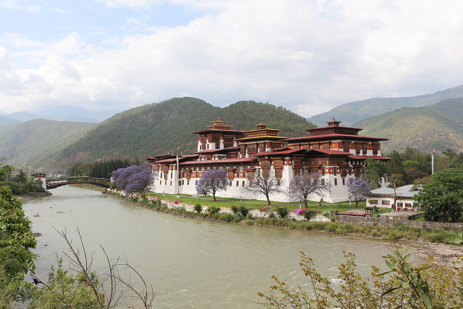 Punakha Dzong framed by blooming purple jacaranda trees at the confluence of the Pho Chhu and Mo Chhu rivers in Bhutan