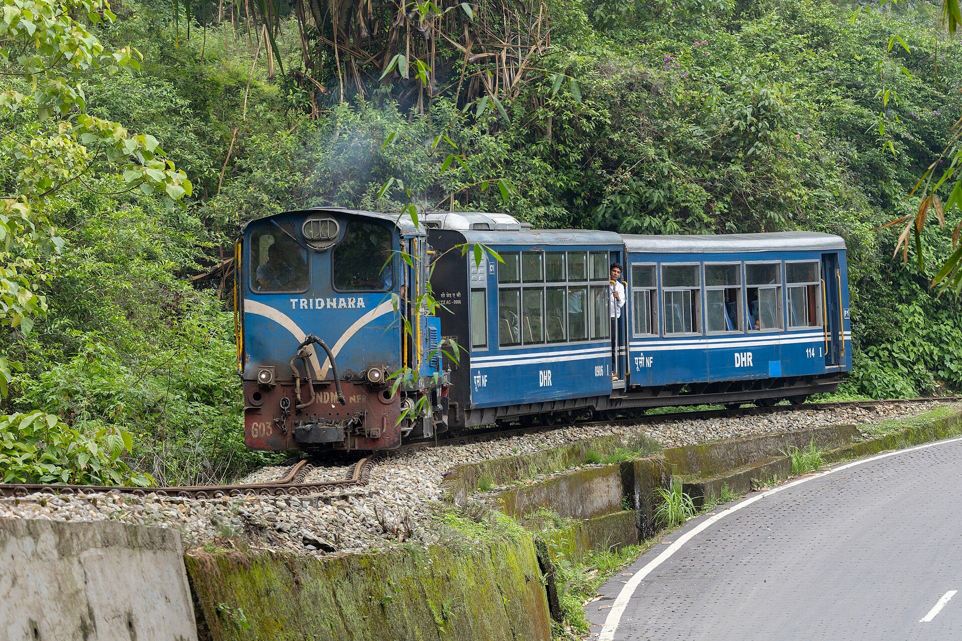 Blue Darjeeling Himalayan Railway narrow-gauge train curving beside a forested hillside road